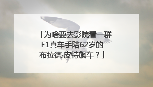 为啥要去影院看一群F1真车手陪62岁的布拉德·皮特飙车？