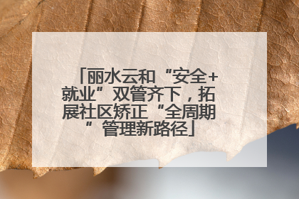 丽水云和“安全+就业”双管齐下，拓展社区矫正“全周期”管理新路径