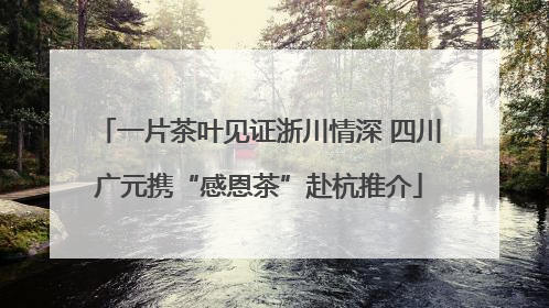 一片茶叶见证浙川情深 四川广元携“感恩茶”赴杭推介