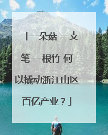 一朵菇 一支笔 一根竹 何以撬动浙江山区百亿产业？