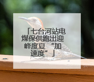 七台河站电煤保供跑出迎峰度夏 “加速度”