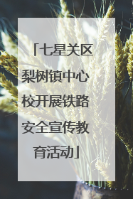 七星关区梨树镇中心校开展铁路安全宣传教育活动