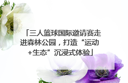 三人篮球国际邀请赛走进森林公园，打造“运动+生态”沉浸式体验
