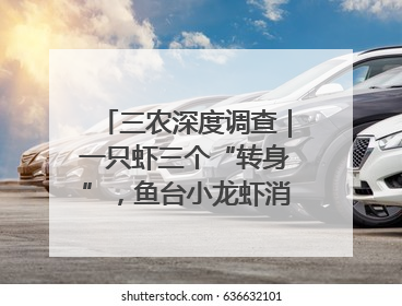 三农深度调查｜一只虾三个“转身”，鱼台小龙虾消费季升级