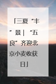 三夏“丰”景｜“五良”齐迎北京小麦收获日