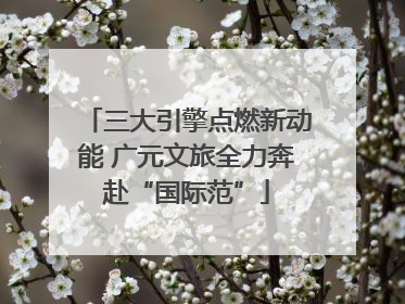 三大引擎点燃新动能 广元文旅全力奔赴“国际范”