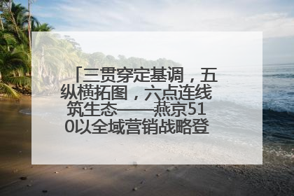 三贯穿定基调，五纵横拓图，六点连线筑生态——燕京510以全域营销战略登顶行业IP新高度