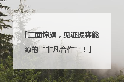 三面锦旗，见证振森能源的“非凡合作”！