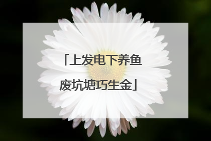 上发电下养鱼 废坑塘巧生金