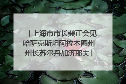 上海市市长龚正会见哈萨克斯坦阿拉木图州州长苏尔丹加济耶夫