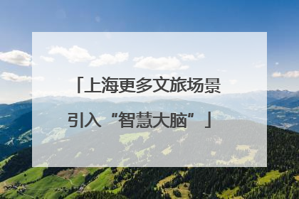 上海更多文旅场景引入“智慧大脑”