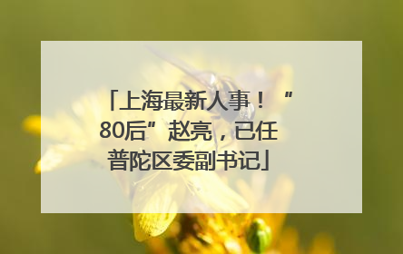 上海最新人事！“80后”赵亮，已任普陀区委副书记