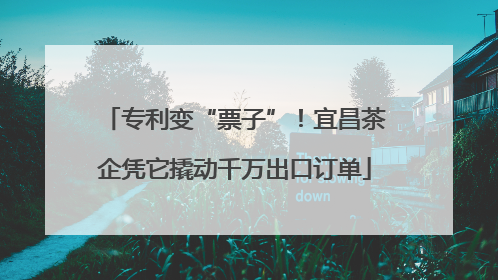 专利变“票子”！宜昌茶企凭它撬动千万出口订单