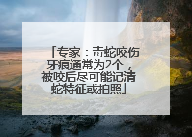 专家：毒蛇咬伤牙痕通常为2个，被咬后尽可能记清蛇特征或拍照
