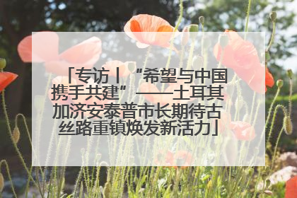 专访丨“希望与中国携手共建”——土耳其加济安泰普市长期待古丝路重镇焕发新活力