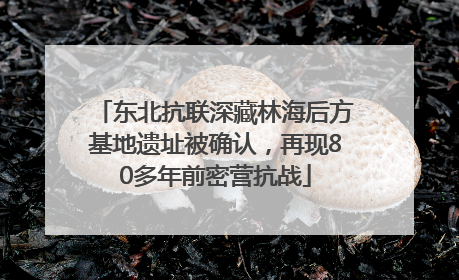 东北抗联深藏林海后方基地遗址被确认，再现80多年前密营抗战