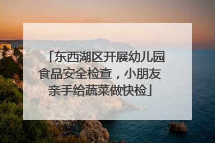 东西湖区开展幼儿园食品安全检查，小朋友亲手给蔬菜做快检
