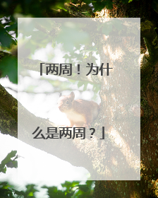 两周！为什么是两周？