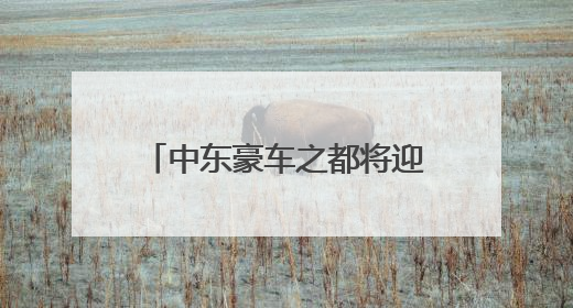 中东豪车之都将迎来无人驾驶出租 文远知行与Uber将联手布署迪拜