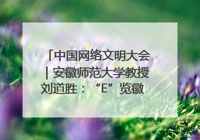 中国网络文明大会｜安徽师范大学教授刘道胜：“E”览徽风，构筑中华民族共有精神家园