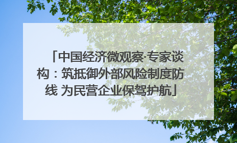 中国经济微观察·专家谈构：筑抵御外部风险制度防线 为民营企业保驾护航