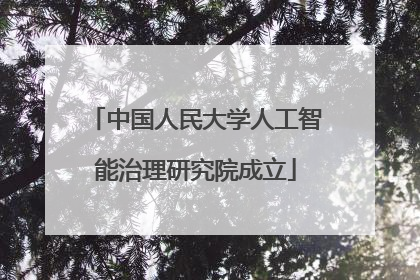 中国人民大学人工智能治理研究院成立
