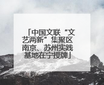 中国文联“文艺两新”集聚区南京、苏州实践基地在宁授牌