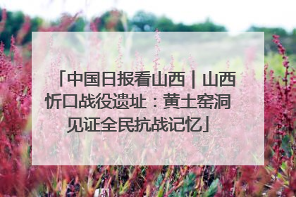 中国日报看山西｜山西忻口战役遗址：黄土窑洞见证全民抗战记忆