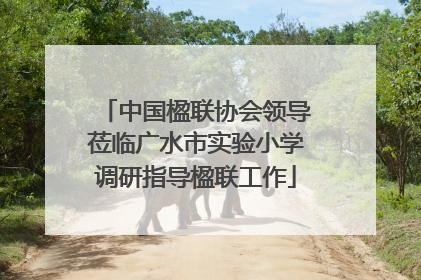 中国楹联协会领导莅临广水市实验小学调研指导楹联工作