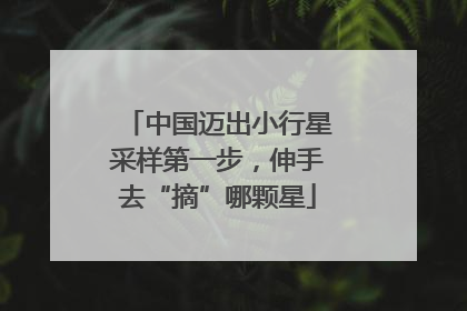 中国迈出小行星采样第一步，伸手去“摘”哪颗星