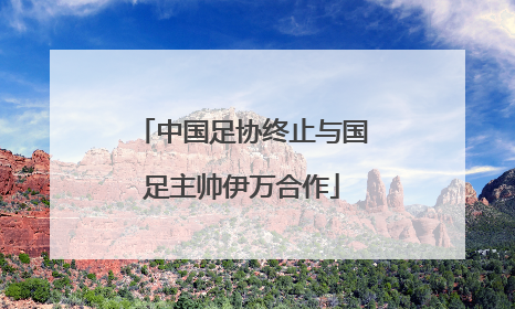 中国足协终止与国足主帅伊万合作