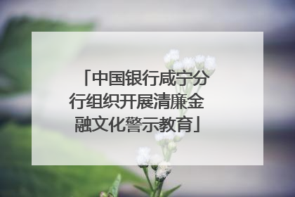 中国银行咸宁分行组织开展清廉金融文化警示教育