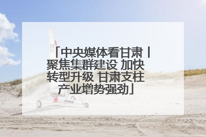中央媒体看甘肃丨聚焦集群建设 加快转型升级 甘肃支柱产业增势强劲