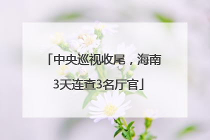 中央巡视收尾，海南3天连查3名厅官