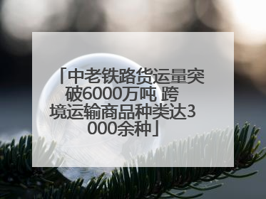 中老铁路货运量突破6000万吨 跨境运输商品种类达3000余种
