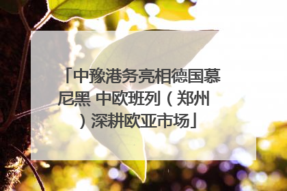 中豫港务亮相德国慕尼黑 中欧班列（郑州）深耕欧亚市场