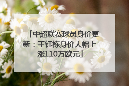 中超联赛球员身价更新：王钰栋身价大幅上涨110万欧元