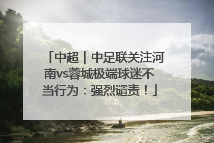 中超｜中足联关注河南vs蓉城极端球迷不当行为：强烈谴责！