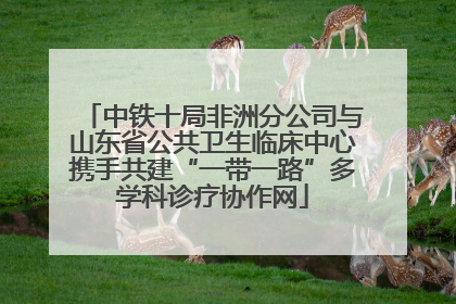 中铁十局非洲分公司与山东省公共卫生临床中心携手共建“一带一路”多学科诊疗协作网