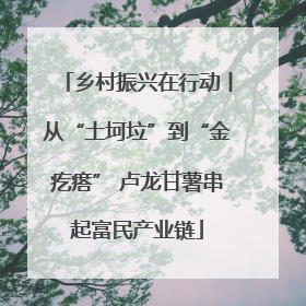 乡村振兴在行动丨从“土坷垃”到“金疙瘩” 卢龙甘薯串起富民产业链