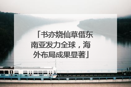 书亦烧仙草借东南亚发力全球，海外布局成果显著