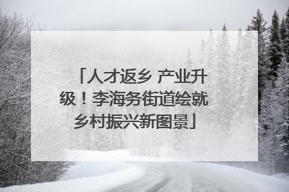 人才返乡 产业升级！李海务街道绘就乡村振兴新图景
