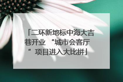 二环新地标中海大吉巷开业 “城市会客厅”项目进入大比拼