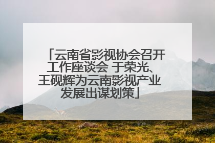 云南省影视协会召开工作座谈会 于荣光、王砚辉为云南影视产业发展出谋划策