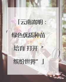 云南嵩明：绿色优质种苗培育 打开“缤纷世界”