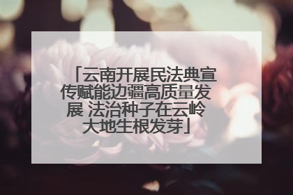 云南开展民法典宣传赋能边疆高质量发展 法治种子在云岭大地生根发芽