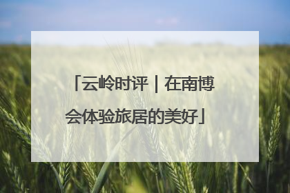 云岭时评｜在南博会体验旅居的美好