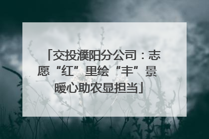 交投濮阳分公司：志愿“红”里绘“丰”景 暖心助农显担当