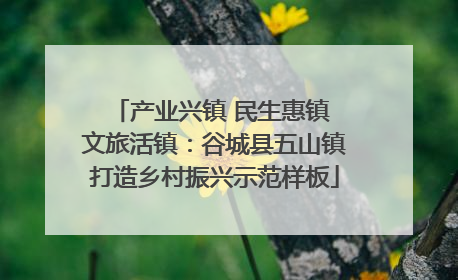 产业兴镇 民生惠镇 文旅活镇：谷城县五山镇打造乡村振兴示范样板