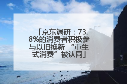 京东调研：73.8%的消费者积极参与以旧换新 “重生式消费”被认同